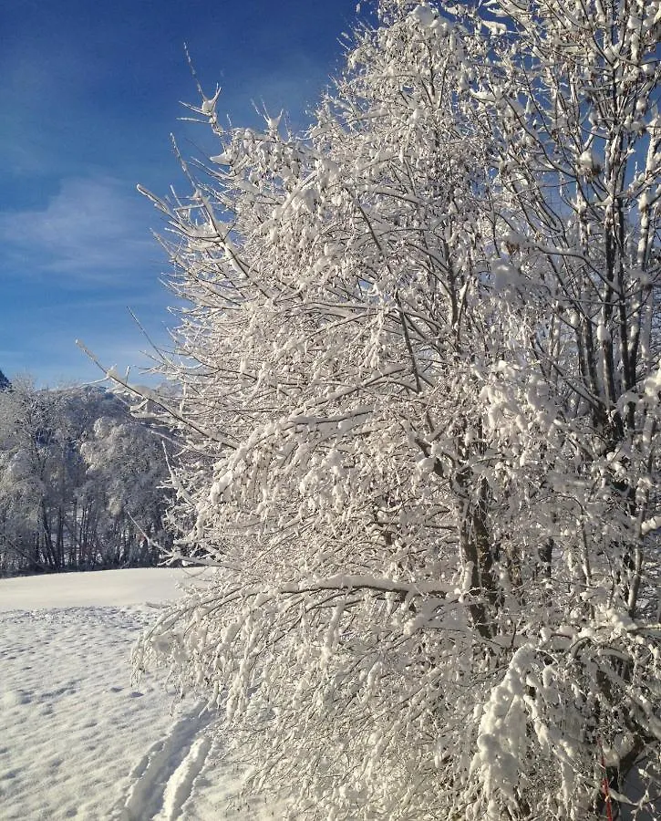 A Place 2 Be, Megeve Centre 0*,  France