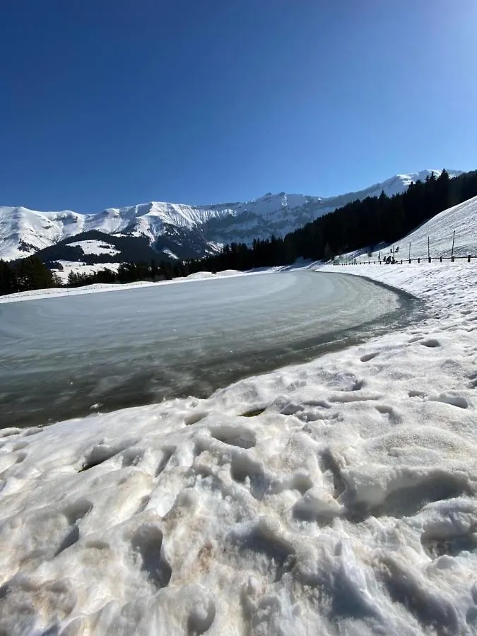 Apartment A Place 2 Be, Megeve Centre